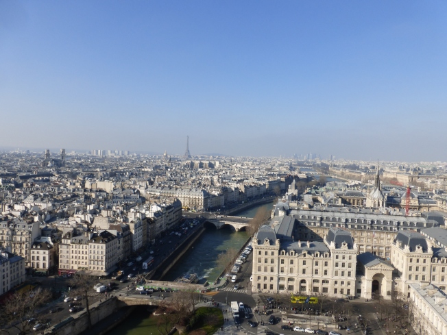 View from Notre Dame